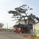 신두경로당 Daum카페