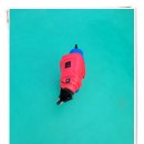 (주)데닉스 | 2021년 12월 갑돌이 산책 기록