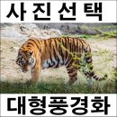 YB인테리어 쇼핑하우
