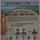 금산인삼 이미지