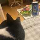 덕소로56 이미지