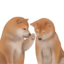 아이봄치과의원 이미지