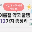 백산약국 | [약사추천🔥] 여름철 꼭 필요한 약국템 총정리! 증상별 꿀템 12가지