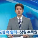 창원수목원(추가) 이미지