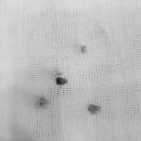 장현동물병원 이미지