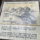 선경 양봉 네이버블로그