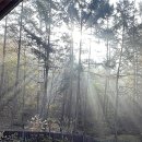 주주펜션 이미지