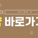 24시 온동물의료센터 이미지
