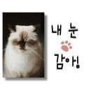 착한낙지홍도점 이미지