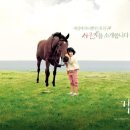 각설탕 - 청주시 흥덕구 | 각설탕