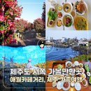 슈퍼월평카페 | 제주도 서쪽 가볼만한곳 애월카페거리 포함 제주 가족여행 코스 추천