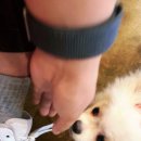 행복하개키울고양 이미지