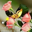 사제보건진료소 이미지