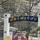 금원수목원수영장 이미지