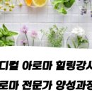 심력연구소심스쿨