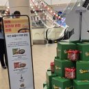 꿈돌이노래방 | 꿀잼도시 대전홍보관가서 꿈돌이 마그넷 구매후기