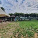 칠곡양떼목장 이미지