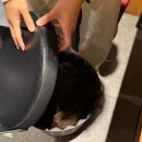 동내로 | [서울 강서] 가성비 끝판왕 발산역 연말 회식장소추천 ‘동내축산 발산역점’ 솔직후기