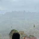 멍쿠실낭 이미지