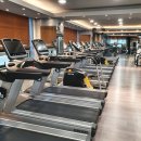 에브리데이짐 이미지