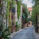 우인행정사사무소 이미지