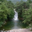 안성면105 티스토리