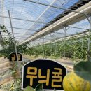 그린농원 이미지