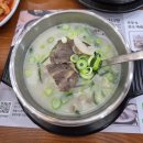 팔복도가니탕집 | 천안 신부동 설렁탕 맛집 팔복도가니탕 천안점 내돈내산 솔직 후기