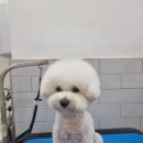 몽슈피스 이미지