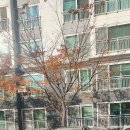배산제일풍경채에듀파크@경로당 이미지