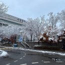 (주)미디어퀘스트 | [서초 SNS서포터즈] 싸이월드 감성이 생각나는 국립중앙도서관의 「웹트로 : 디지털 기억」 전시(~12/8)