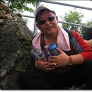 동강자연속으로 이미지