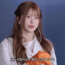 개귀여워 이미지