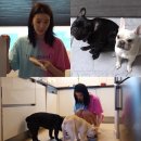 아이린유치원 이미지