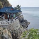 그린종합카인테리어 | 설해원CC 조인 후기부터 씨뷰·파인·레전드 코스, 숙소·그린피 완벽 가이드