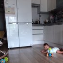 인덕원메기매운탕 이미지