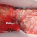 피쉬헌터 이미지