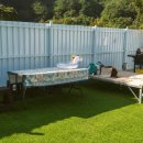 벌곡 멍발리 이미지