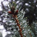 동진여관 | 도연명 (陶淵明)의 시 한 수