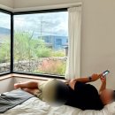 고내다운 이미지