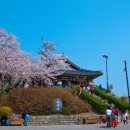 오죽헌주유소 이미지