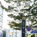 서울닥터윤치과 이미지