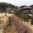 녹지원 농장 이미지