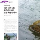 비노잉 이미지