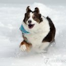 천마농장 이미지