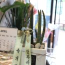 더조은메디컬 이미지