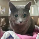 남양주별내119안전센터 이미지