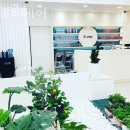 에제르헤어 이미지