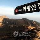 구룡산 오토캠핑장 이미지