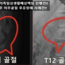 장원손해사정행정사사무소 이미지